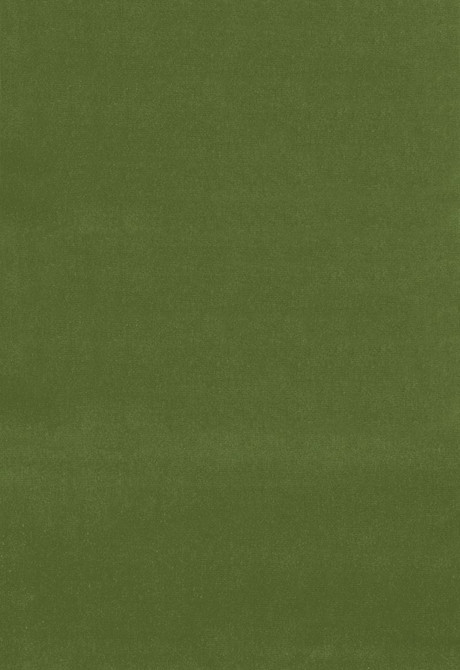 Gainsborough Velvet Fern 42869 by Schumacher Fabric Gainsborough-Velvets 100% Cotton Wyzenbeek 40,000 Horizontal: - and Vertical: - 55 - Fabric Carolina -