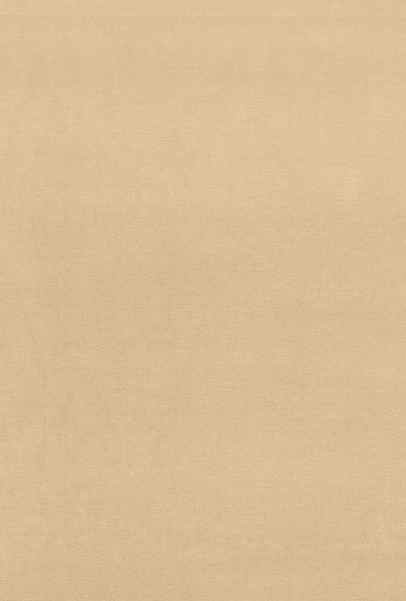 Gainsborough Velvet Eggshell 42776 by Schumacher Fabric Gainsborough-Velvets 100% Cotton Wyzenbeek 40,000 Horizontal: - and Vertical: - 55 - Fabric Carolina -
