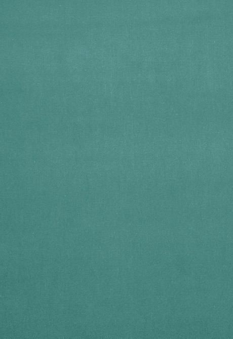 Gainsborough Velvet Spray 42754 by Schumacher Fabric Gainsborough-Velvets 100% Cotton Wyzenbeek 40,000 Horizontal: - and Vertical: - 55 - Fabric Carolina -