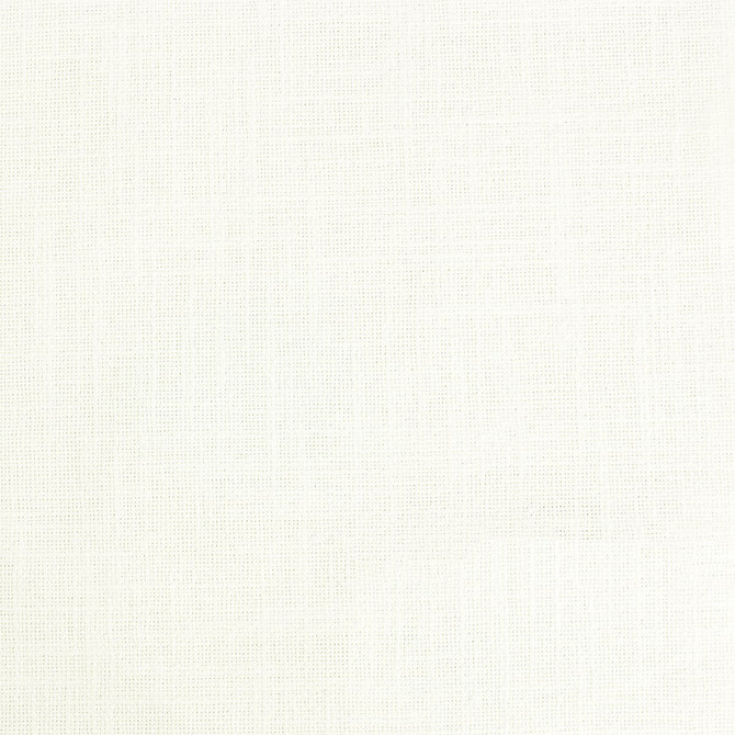 Shaggy 11 Ivory by Stout Fabric ARTISAN WEAVES 79%COT 21%POL INDIA FLAME RETARDANT-CA BULLETIN 117-SECTION E FLAME RETARDANT-U.F.A.C. CLASS 1 WYZENBEEK 80 000 DOUBLE RUB WEAR TEST (HEAVY DUTY) Horizontal: 0 and Vertical: 0 55 in - Fabric Carolina -