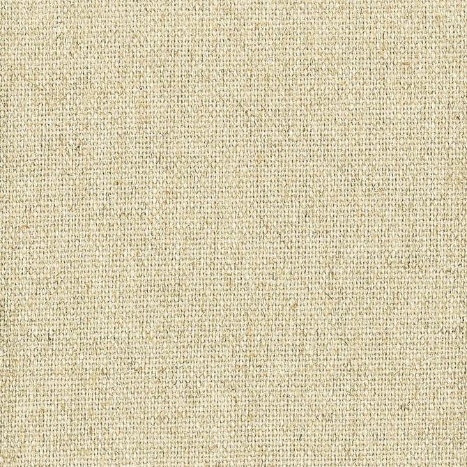 Sanantonio 1 Taupe by Stout Fabric THE NATURALS II 55%SVI 45%LIN CHINA CATB 117-2013 Horizontal: 0 and Vertical: 0 56 in - Fabric Carolina -