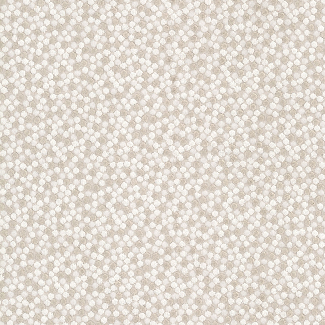 Sanantonio 1 Almond by Stout Fabric