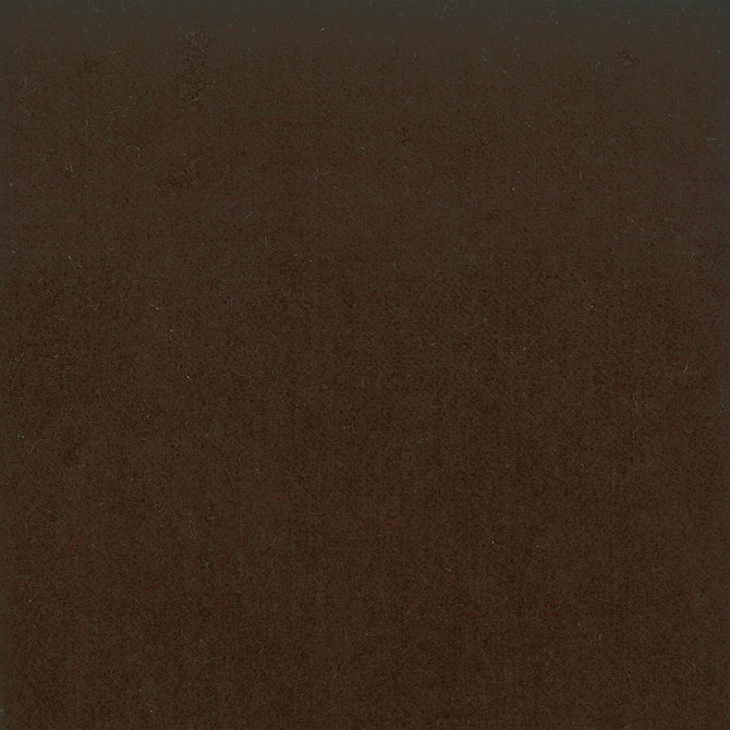 Moore 18 Truffle by Stout Fabric TIMELESS VELVETS 82%POL 18%COT SOUTH KOREA FLAME RETARDANT-U.F.A.C. CLASS 1 CATB 117-2013 WYZENBEEK 20 000 DOUBLE RUB WEAR TEST (HEAVY DUTY) Horizontal: 0 and Vertical: 0 54.75 in - Fabric Carolina -