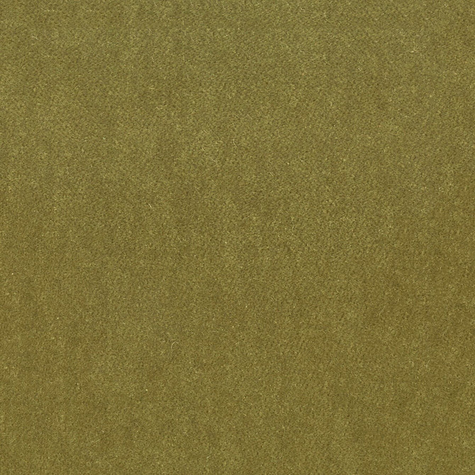 Moore 29 Chive by Stout Fabric Stout Fabric Moore 29 ChiveFabric Timeless Velvets 82%Pol 18%Cot South Korea </p><p>Repeat: H: 0, V: 31.5 54.75 in - Fabric Carolina -