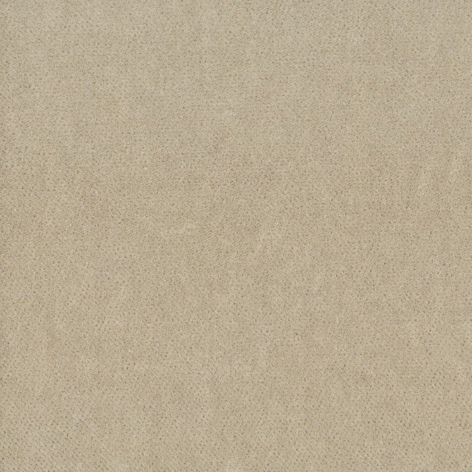 Moore 39 Dusk by Stout Fabric TIMELESS VELVETS 82%POL 18%COT SOUTH KOREA FLAME RETARDANT-U.F.A.C. CLASS 1 CATB 117-2013 WYZENBEEK 20 000 DOUBLE RUB WEAR TEST (HEAVY DUTY) </p><p>Repeat: 0 54.75 in - Fabric Carolina -