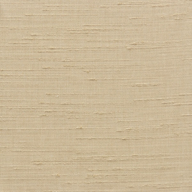 Bottega 1 Chamois by Stout Fabric COLOR MY WINDOW ALABASTER/PARCHMENT 100%POL INDIA Horizontal: 0 and Vertical: 0 55 in - Fabric Carolina -