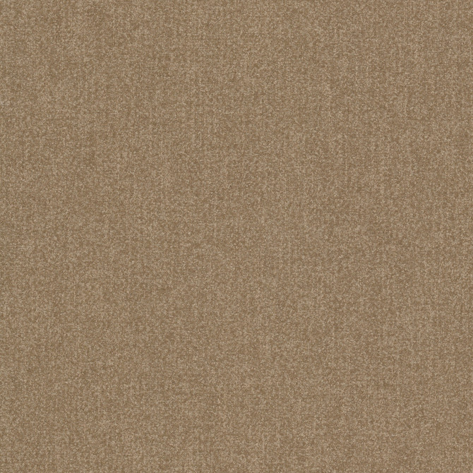 Brevity 2 Camel by Stout Fabric
