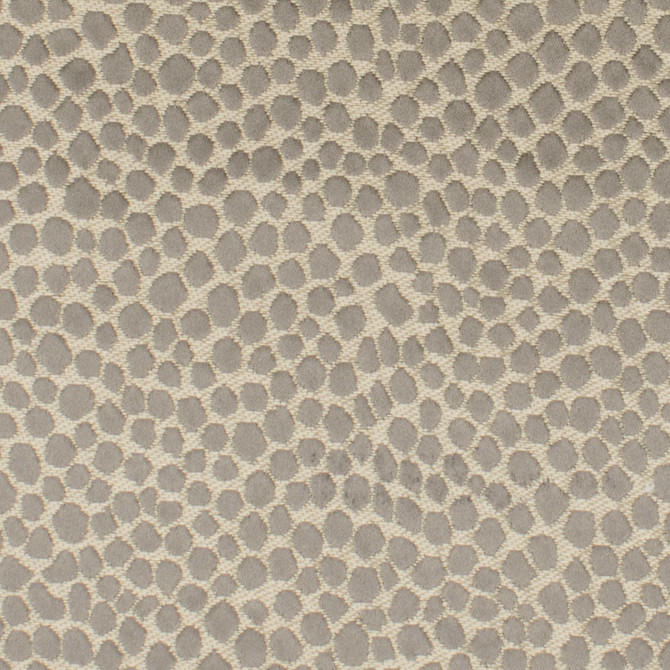 Adaria 1 Sandstone by Stout Fabric RAINBOW LIBRARY TOAST/DRIFTWOOD 100%POL INDIA Horizontal: 4.75 and Vertical: 2.5 54 in - Fabric Carolina -