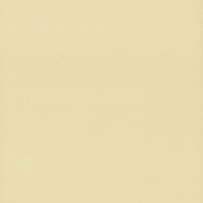 Lodge 9 Chamois by Stout Fabric LEATHER LOOKS III PERFORMANCE 100%POU CHINA FLAME RETARDANT-U.F.A.C. CLASS 1 FLAME RETARDANT-N.F.P.A. 260A CLASS 1 FLAME RETARDANT-FMVSS 302 PERFORMANCE RATED FABRIC WYZENBEEK 500 000 DOUBLE RUB WEAR TEST(EXTREMELY HEAVY DUTY) CATB 117-2013 Horizontal: 0 and Vertical: 0 54 in - Fabric Carolina -