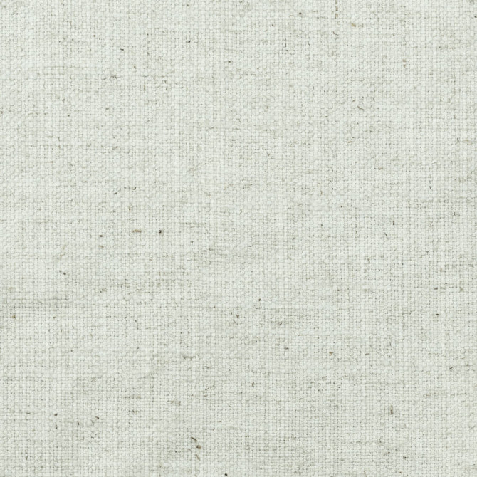 Nevada 6 Platinum by Stout Fabric Linen Looks 36% Cotton 30% Polyester 17% Spun Viscose 17% Linen INDIA FLAME RETARDANT-CA BULLETIN 117-SECTION E FLAME RETARDANT-N.F.P.A. 260A CLASS 1 WYZENBEEK 30 000 DOUBLE RUB WEAR TEST (HEAVY DUTY) Horizontal: 0 and Vertical: 0 54 in - Fabric Carolina -