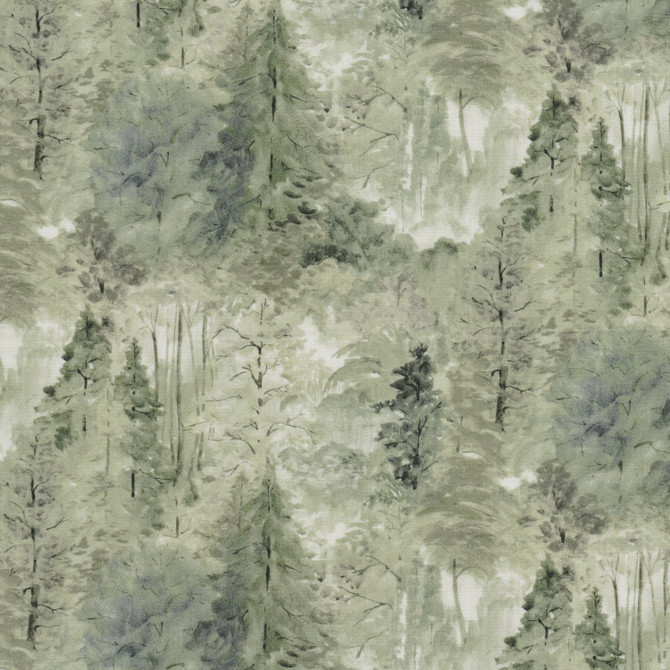 Adonis 1 Grass by Stout Fabric Stout Fabric Adonis 1 GrassFabric Comfortable Living Balsam/Cypress 100%Cot Spain </p><p>Repeat: H: 13.5, V: 12.375 54 in - Fabric Carolina -