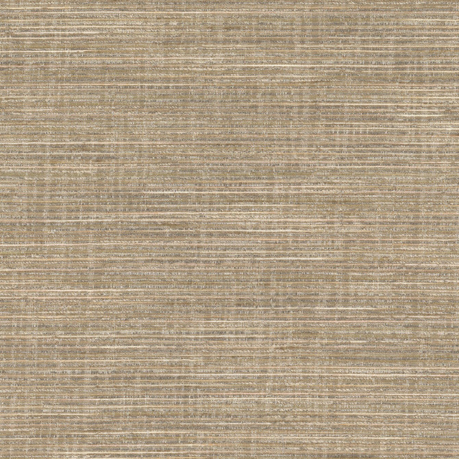 Tate 3 Mushroom by Stout Fabric Stout Fabric Tate 3 MushroomFabric COLOR MY WINDOW PEWTER/TAUPE 69%POL 31%COT INDIA </p><p>Repeat: H: 0.000, V: 0.000 54 in - Fabric Carolina -