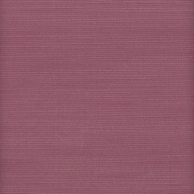 Admire 19 Purple by Stout Fabric SATIN SPLENDOR 100%POL INDIA FLAME RETARDANT-N.F.P.A. 701 SMALL SCALE MARTINDALE WEAR TEST (15 000 CIRCULAR RUBS) Horizontal: 0 and Vertical: 0 55 in - Fabric Carolina -