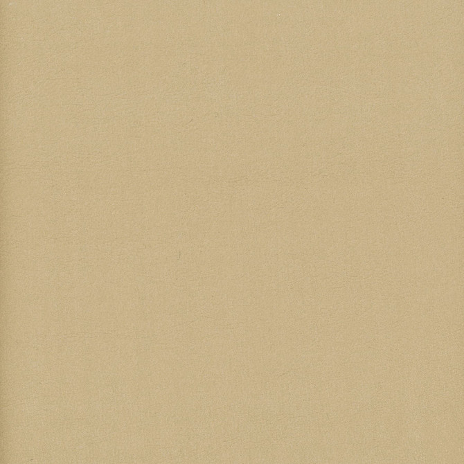 Elbert 12 Jute by Stout Fabric LEATHER LOOKS III PERFORMANCE 70%PVC 25%POL 5%POU CHINA PERFORMANCE RATED FABRIC CATB 117-2013 WYZENBEEK 80 000 DOUBLE RUB WEAR TEST (HEAVY DUTY) Horizontal: 0 and Vertical: 0 54 in - Fabric Carolina -