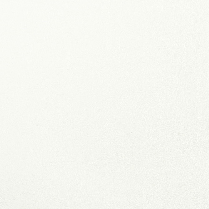 Elbert 13 Chalk by Stout Fabric Leather Looks Iii Performance 70% Polyvinylchloride 25% Polyester 5% Polyurethane CHINA PERFORMANCE RATED FABRIC CATB 117-2013 WYZENBEEK 80 000 DOUBLE RUB WEAR TEST (HEAVY DUTY) Horizontal: 0 and Vertical: 0 54 in - Fabric Carolina -