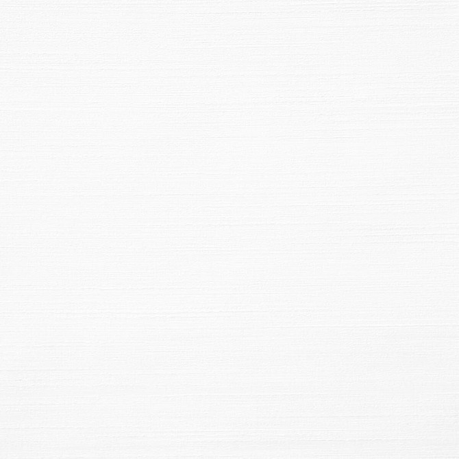 Function 1 Bleach by Stout Fabric BEAUTIFUL ACCENTS 100%POL INDIA Horizontal: 0 and Vertical: 0 54 in - Fabric Carolina -