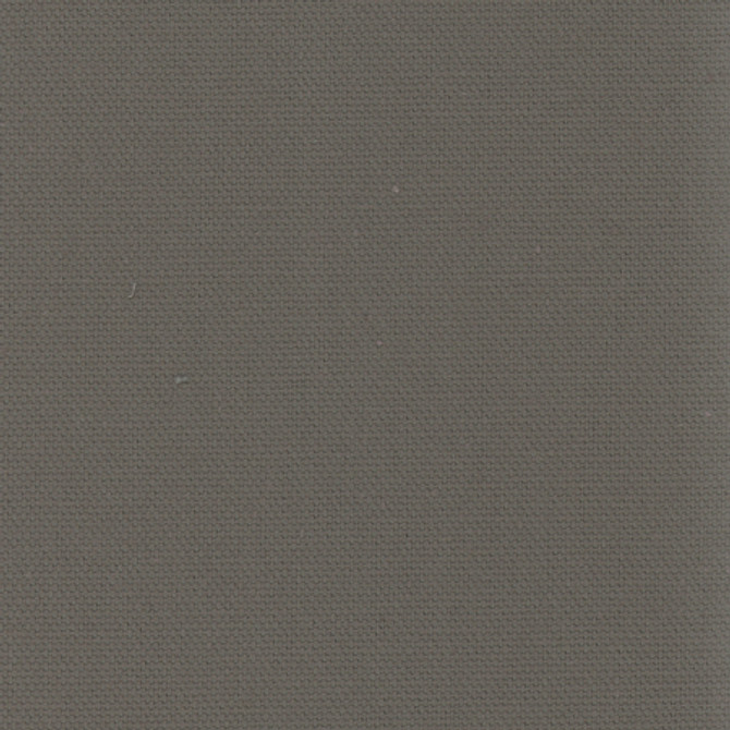 Daydreamer Gunmetal by Carole Fabric Daydreamer III,Daydreaming 100% Cotton-ssr USA Passes 30,000 Double Rubs Wyzenbeek NONE 54"  - Fabric Carolina -