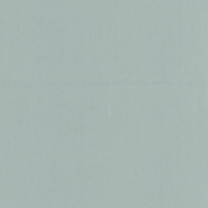Daydreamer Mist by Carole Fabric Daydreaming 100% Cotton- Soil Release USA Passes 30,000 Double Rubs Wyzenbeek Horizontal: 0 and Vertical: 0 54 - Fabric Carolina -