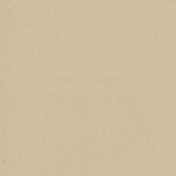 Daydreamer Sandstone by Carole Fabric Daydreamer III,Daydreaming 100% Cotton, Soil & Stain Release TURKMENISTAN Passes 30,000 Double Rubs Wyzenbeek </p><p>Repeat: NONE 54" - Fabric Carolina -