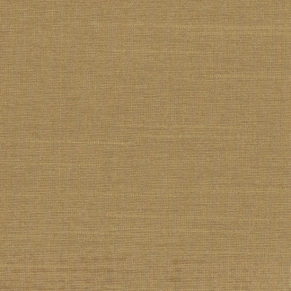 Succulent Buff by Carole Fabric Succulent,Succulent II 100% POLYESTER INDIA N/A Horizontal: None and Vertical: NONE 54" - Fabric Carolina -