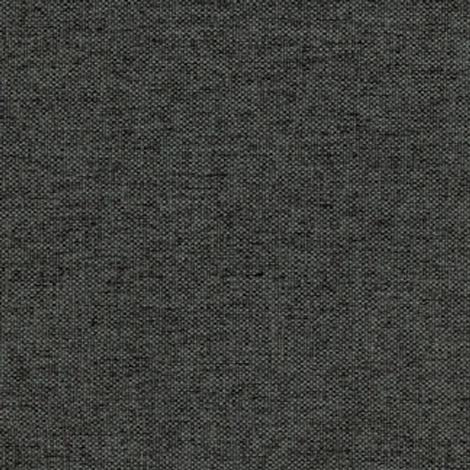 Make Clear Steel by Carole Fabric Hot Second 100% POLYESTER CHINA  NONE 57"  - Fabric Carolina -