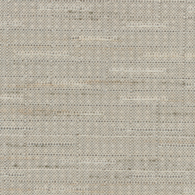 Banksville Mouse by Carole Fabric Bigelow 100% Polyester Mexico Passes 18,000 Double Rubs Wyzenbeek Horizontal: None and Vertical: None 54" - Fabric Carolina -