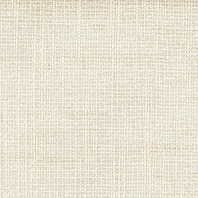 Slow Down Vanilla by Carole Fabric Come Home 100% Polyester India N/A Horizontal: 0 and Vertical: 0 54 - Fabric Carolina -