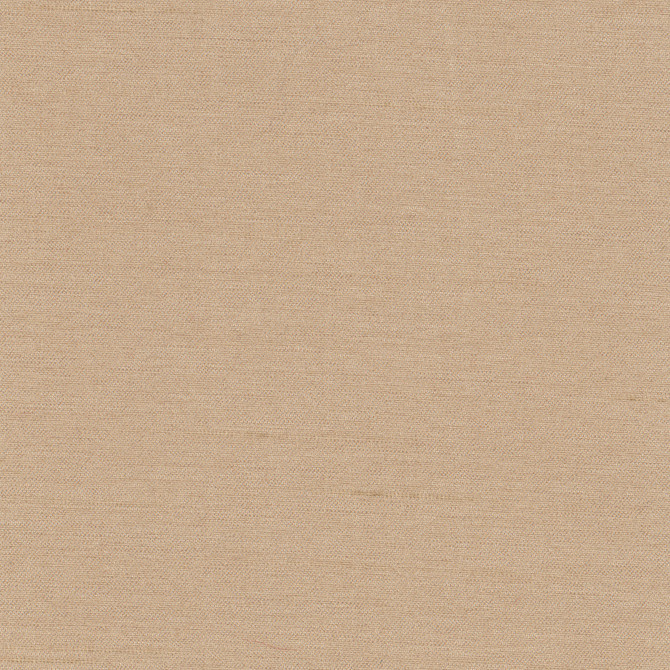Northwind Almond by Carole Fabric New Northwind Iv 100% Polyester India Passes 9,000 Double Rubs Wyzenbeek Horizontal: 0 and Vertical: 0 54 - Fabric Carolina -