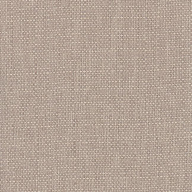 Novel Idea Chrome by Carole Fabric Class Historian 100% Polyester Taiwan  None 54"  - Fabric Carolina -