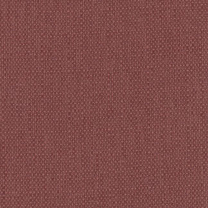 Novel Idea Marsala by Carole Fabric Class Historian 100% Polyester Taiwan Passes 30,000 Double Rubs Wyzenbeek </p><p>Repeat: None 54" - Fabric Carolina -