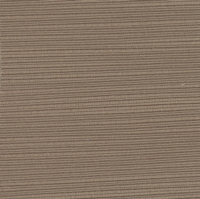 Admission Mink by Carole Fabric Fortitude 64% Spun Polyester, 36% Poly Fil India Passes 30,000 Circular Rubs Martindale Horizontal: None and Vertical: None 55" - Fabric Carolina -