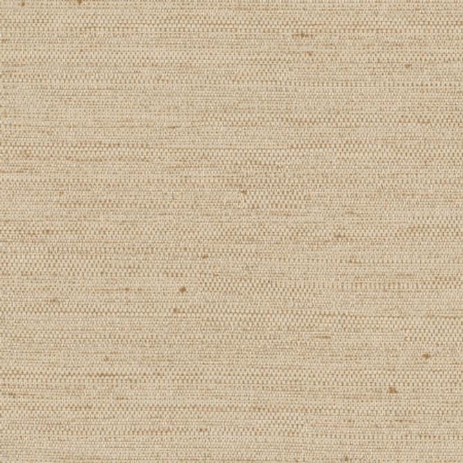 Aiden Natural by Carole Fabric Aiden Gallery,Opal,Subtle Hints 100% Polyester INDIA PASSES 30,000 DOUBLE RUBS WYZENBEEK None 56"  - Fabric Carolina -
