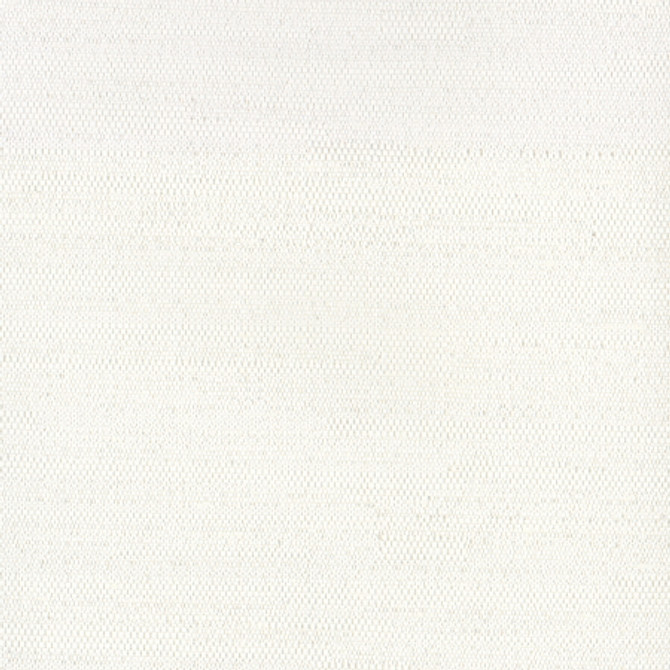 Aiden Off White by Carole Fabric Aiden Gallery,Opal,Subtle Hints 100% Polyester INDIA PASSES 30,000 DOUBLE RUBS WYZENBEEK None 56"  - Fabric Carolina -