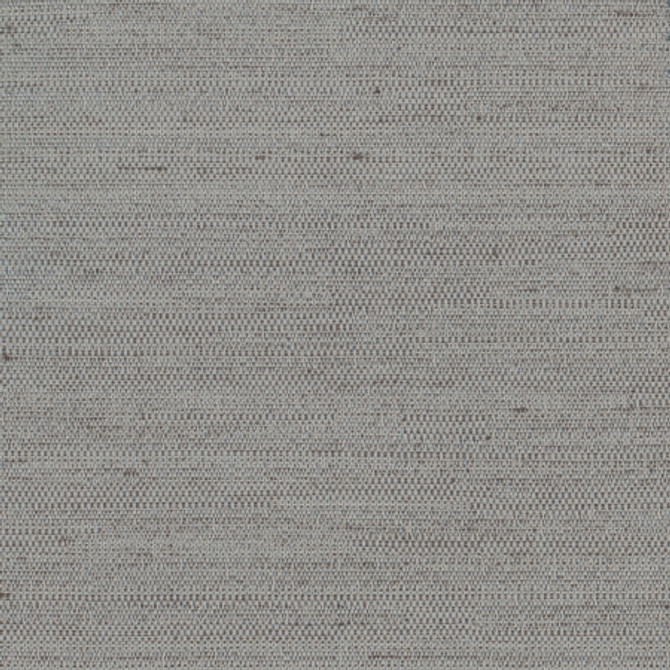 Aiden Viridian Grey by Carole Fabric Aiden Gallery,Pewter,Subtle Hints 100% Polyester INDIA PASSES 30,000 DOUBLE RUBS WYZENBEEK Horizontal: None and Vertical: None 56" - Fabric Carolina -
