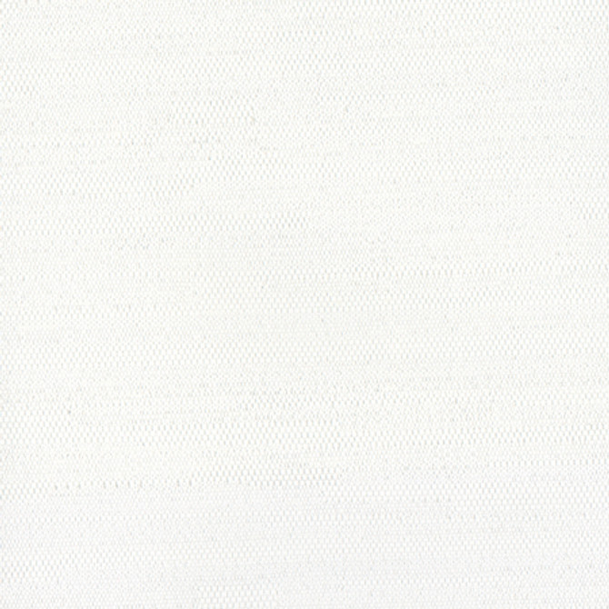<p>Aiden White by Carole Fabric</p><p><strong>Required Minimum Quantity Purchase: 2 yards</strong></p><p>Book: Aiden Gallery,Opal,Subtle Hints,Sea Salt</p><p>Content: 100% Polyester</p><p>Origin: </p><p>Performance: N/A</p><p>Repeat: None</p><p>Width: 54"</p>