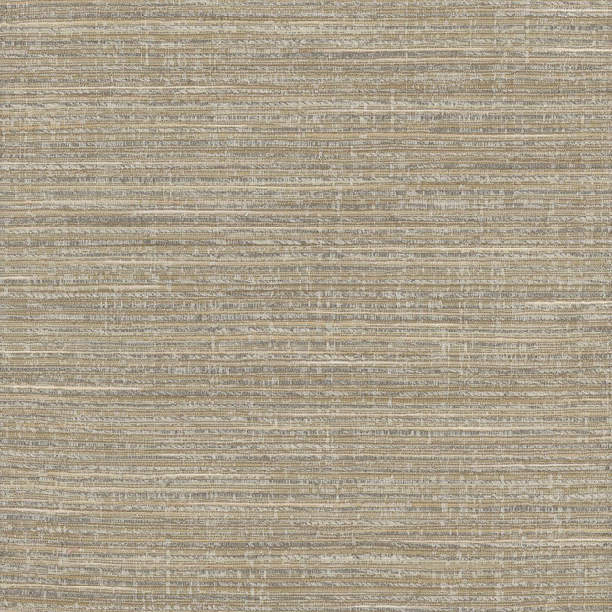 Stacked Cards Birch by Carole Fabric Stationery 69% Polyester, 31% Viscose India Passes 15,000 Double Rubs Wyzenbeek Horizontal: 0 and Vertical: 0 54 - Fabric Carolina -