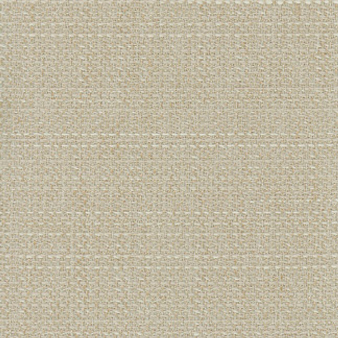 Air Time Cocoon by Carole Fabric Sensibility 100% Polyester Taiwan Passes 10,000 Double Rubs Wyzenbeek NONE 54"  - Fabric Carolina -