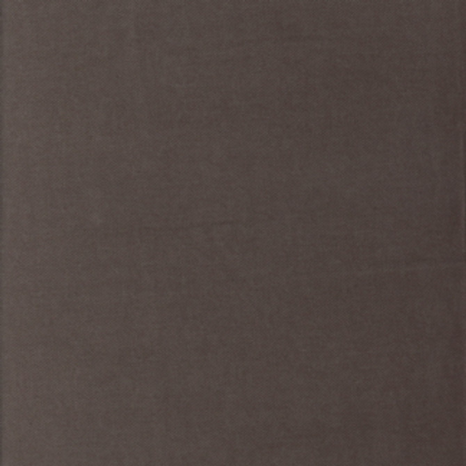 I Never Charcoal by Carole Fabric Velvet Touch 100% Polyester China N/A </p><p>Repeat: None 56" - Fabric Carolina -