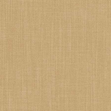 Liberty Cashew by Carole Fabric Liberty,Liberty II 100%  Polyester India  None 54"  - Fabric Carolina -
