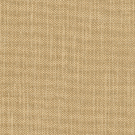 <p>Liberty Cashew by Carole Fabric</p><p><strong>Required Minimum Quantity Purchase: 2 yards</strong></p><p>Book: Liberty,Liberty II,Tuscan Sun</p><p>Content: 100% Polyester</p><p>Origin: </p><p>Performance: 50,000 Wyzenbeek Double Rubs</p><p>Repeat: None</p><p>Width: 54"</p>