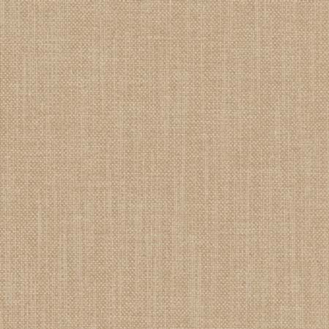 Liberty Latte by Carole Fabric Liberty,Liberty II 100% Polyester India Passes 50,000 Double Rubs Wyzenbeek None 54"  - Fabric Carolina -