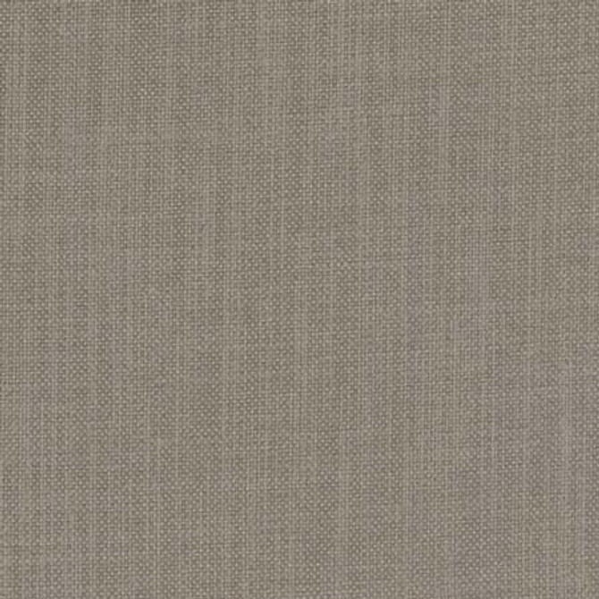 Liberty Steel by Carole Fabric Liberty,Liberty II 100%  Polyester India  None 54"  - Fabric Carolina -