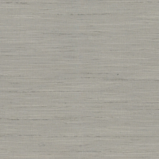 So Far Dove by Carole Fabric Texture Theory 100% Polyester India  None 55"  - Fabric Carolina -