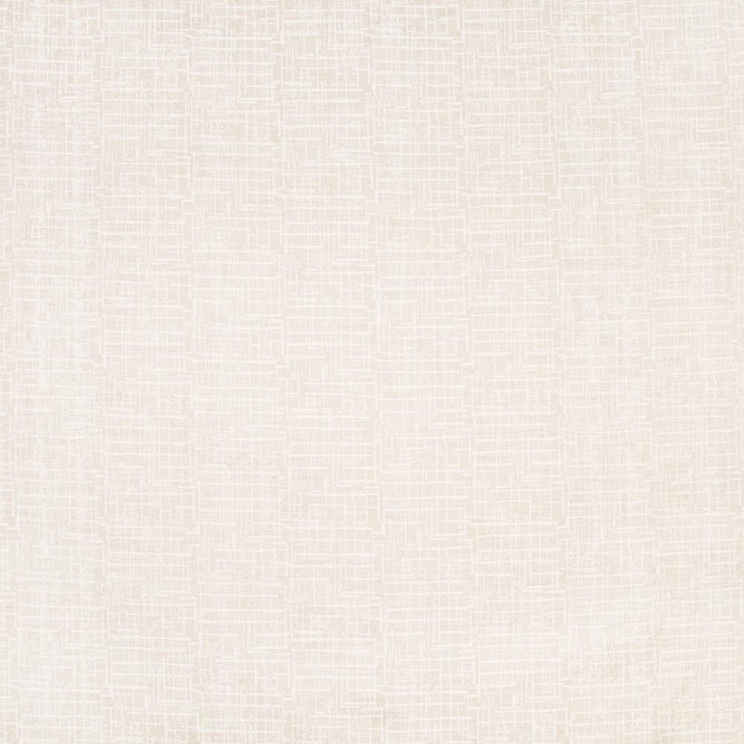 Beauty Pageant Bamboo by Carole Fabric Winner'S Circle 100% Polyester India Passes 50,000 Double Rubs Wyzenbeek Horizontal: 35 and Vertical: 35 54 - Fabric Carolina -