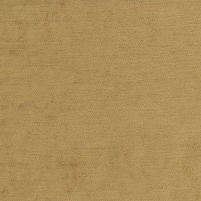Savoir Faire Vintage Gold by Carole Fabric Temptress 100% Polyester India Passes 50,000 Double Rubs Wyzenbeek </p><p>Repeat: None 55" - Fabric Carolina -