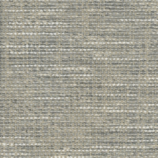 Almanac Granite by Carole Fabric Second Nature 80% Polyester, 20% Cotton India N/A Horizontal: 0" and Vertical: 0" 55" - Fabric Carolina -