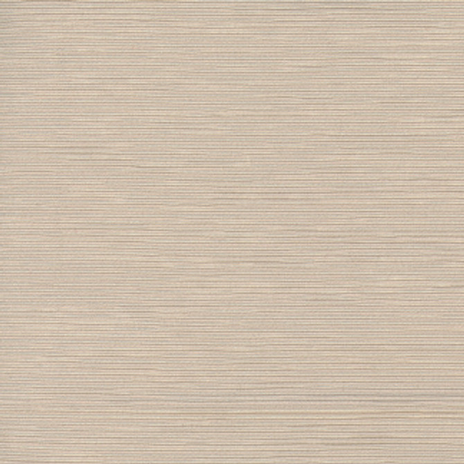 First Novel Putty by Carole Fabric STATIONERY 72% Rayon, 28% Polyester China Passes 30,000 Double Rubs Wyzenbeek Horizontal: None and Vertical: None 55" - Fabric Carolina -