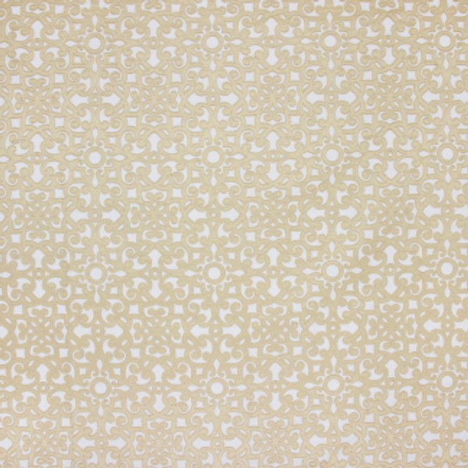 Walk On By Wheat by Carole Fabric Looking Glass 52% Cotton, 48% Polyester INDIA  10" V, 8 3/4" H 52"  - Fabric Carolina -