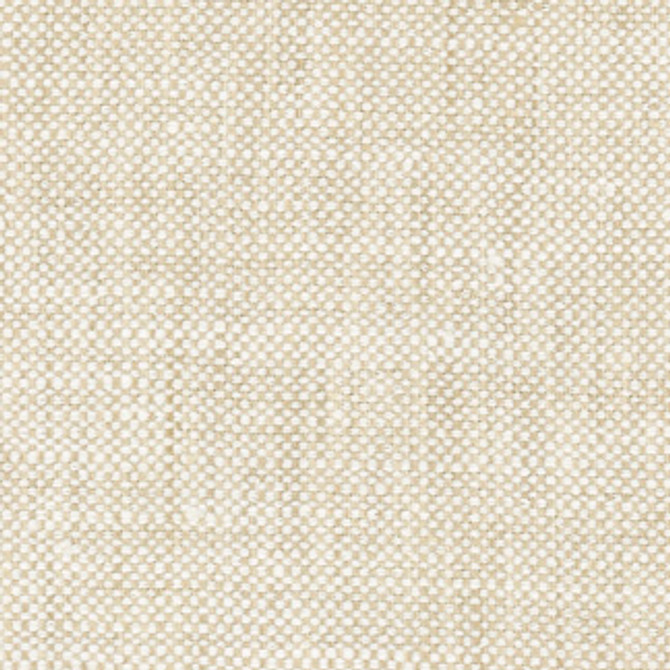 Well Enough Muslin by Carole Fabric Free Spirit 100% Polyester India Passes 30,000 Double Rubs Wyzenbeek NONE 54"  - Fabric Carolina -