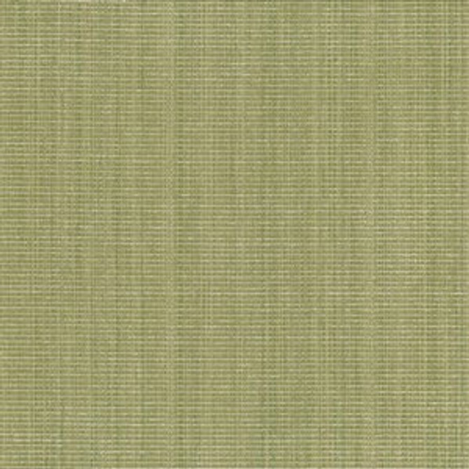 Anvil Lime by Norbar Fabric JAZZ 52% COTTON 31% POLYESTER CHINA 58 - Fabric Carolina -